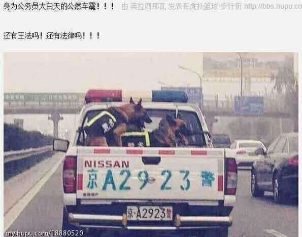 两条警犬：身为公务员大白天的公然车震！！！还有王法吗！！！还有法律吗！！