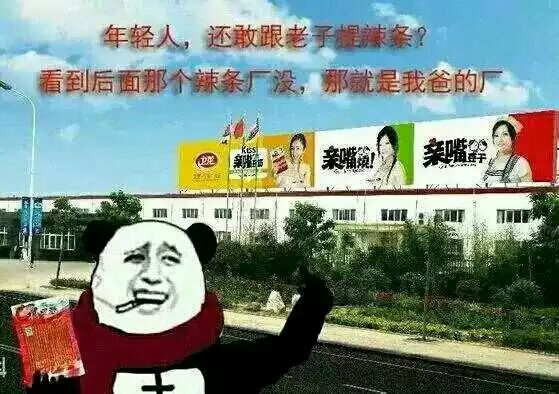 年轻人还敢跟老子提辣条 看到后面那辣条厂没我爸开的