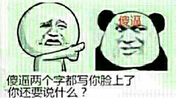 傻逼两个字都写你脸上了 你还要说什么