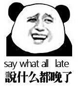 说什么都晚了 say what all late