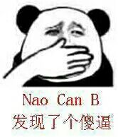 发现了个傻逼 Nao can B