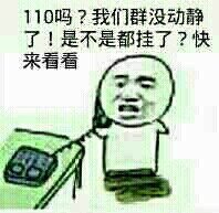 打电话：110吗？我们群没动静了！是不是都挂了？快来看看