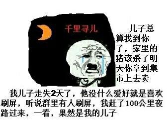 听说群里有人刷屏 我赶了100公里夜路过来，一看，果然是我儿子 儿子总算找到你了 家里的猪该杀了 明天你拿到市集去卖千里寻儿：我儿子走失两天了 他没什么爱好就喜欢刷屏