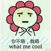 你不萌，我萌 What me cool