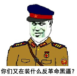 你们又在装什么反革命黑逼