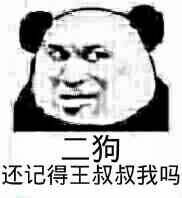 二狗，还记得王叔叔我吗