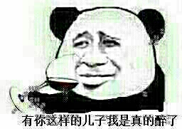 有你这样的儿子我是真的醉了