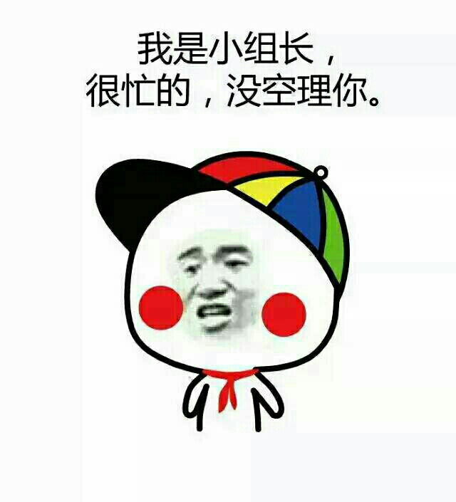 我是小组长，很忙的，没空理你