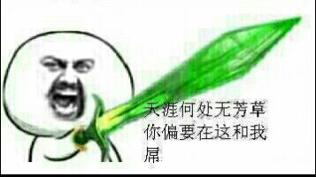 持剑：天涯何处无芳草，你偏要在这和我屌