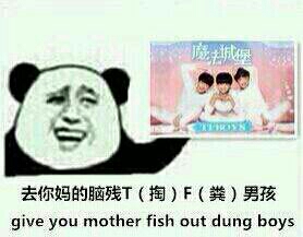 去你妈的掏粪（TF）男孩 tfboys ,gave you mother fish out dung