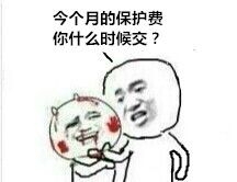 今个月的保护费你什么时候交？