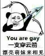 一支空云箭，漂亮萌妹来相见 You are gay