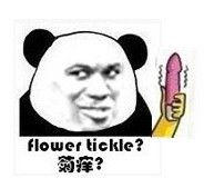 菊痒？（flower tickle？）