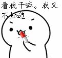看我干嘛，我又不知道