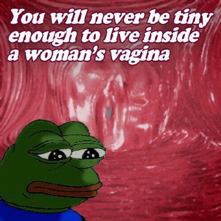 you will never be tiny enough to live inside a woman's vagina