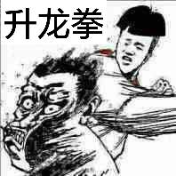 升龙拳