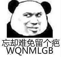 忘却难免留个疤（WQNMLGB）