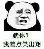 就你？我差点笑出翔