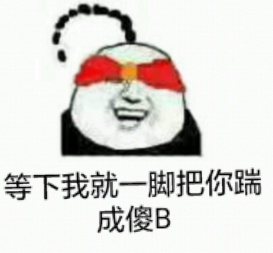 等下我就一脚把你踹成傻B