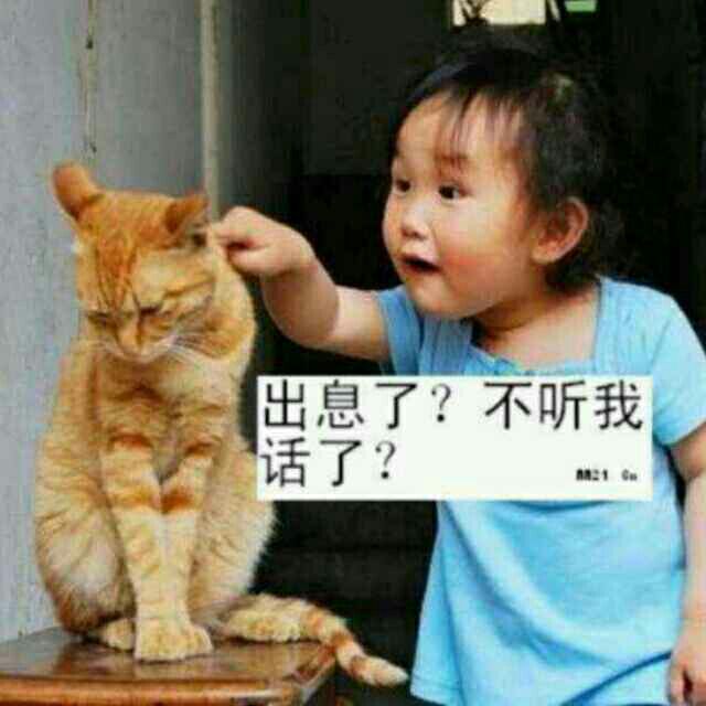 出息了？不听我话了？（小屁孩指着猫脑袋，好可怜的猫星人）