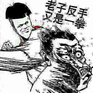 老子反手又是一拳