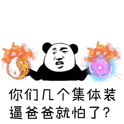 你们几个集体装逼，爸爸就怕了？