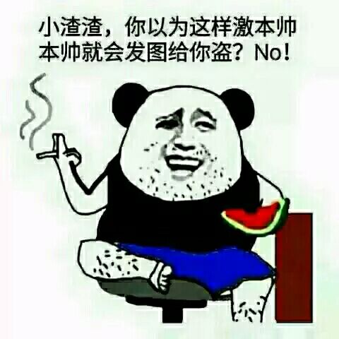 小渣渣，你以为这样激本帅，本帅就会发图给你盗？NO！