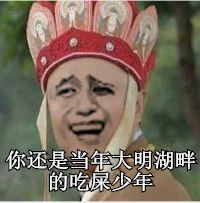 你不是当年大明湖畔的吃屎少年