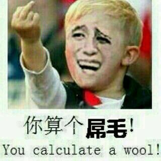 你算个屌毛！（you calculate a wool）