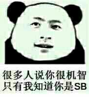 很多人说你很机智，只有我知道你是SB