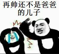 再帅还不是爸爸的儿子