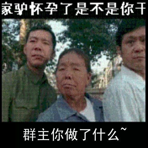 家驴怀孕了是不是你干的，群主你做了什么？