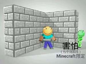 害处（mincraft版）