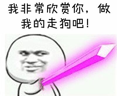 我非常欣赏你，做我的走狗吧！