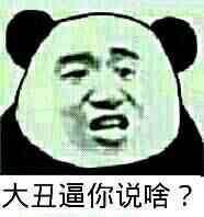 大丑逼，你说啥？