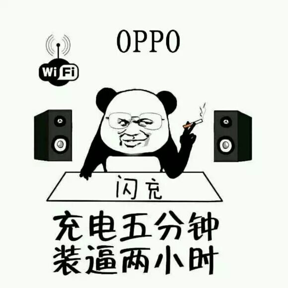 充电五分钟，装逼两小时（OPPO，闪充）