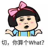 切，你算个What？