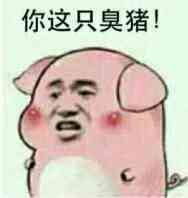 你这只臭猪