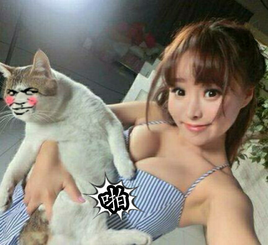 啪，美女与猫猫