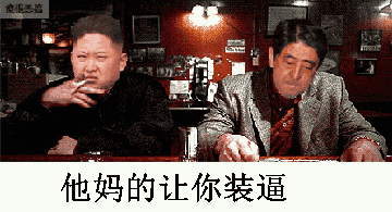 他妈的让你装逼（金正恩与小田）