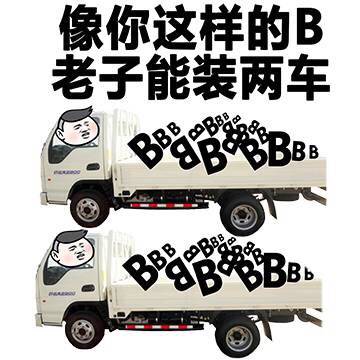 像你这样的B，老子能装两车