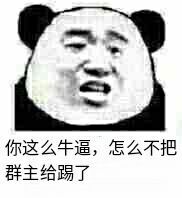 你这么牛逼，怎么不把群主踢了