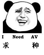 求种（i need AV）