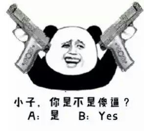 小子，你是不是傻逼？A：是，B：Yes