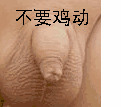 不要鸡动