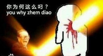 你为何这么叼？（you why zhe me diao）