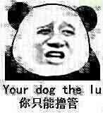 你只能撸管（your dog the lu）