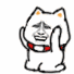 小猫金馆长给你跪下了