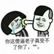 你这傻子老子真受不了你了，艹。