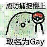 成功捕捉楼上，取名为Gay